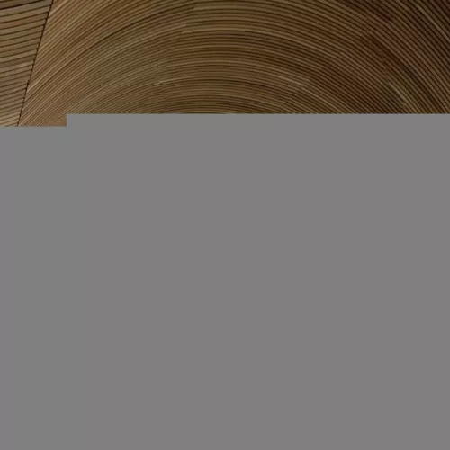 Senedd Welsh Assembly