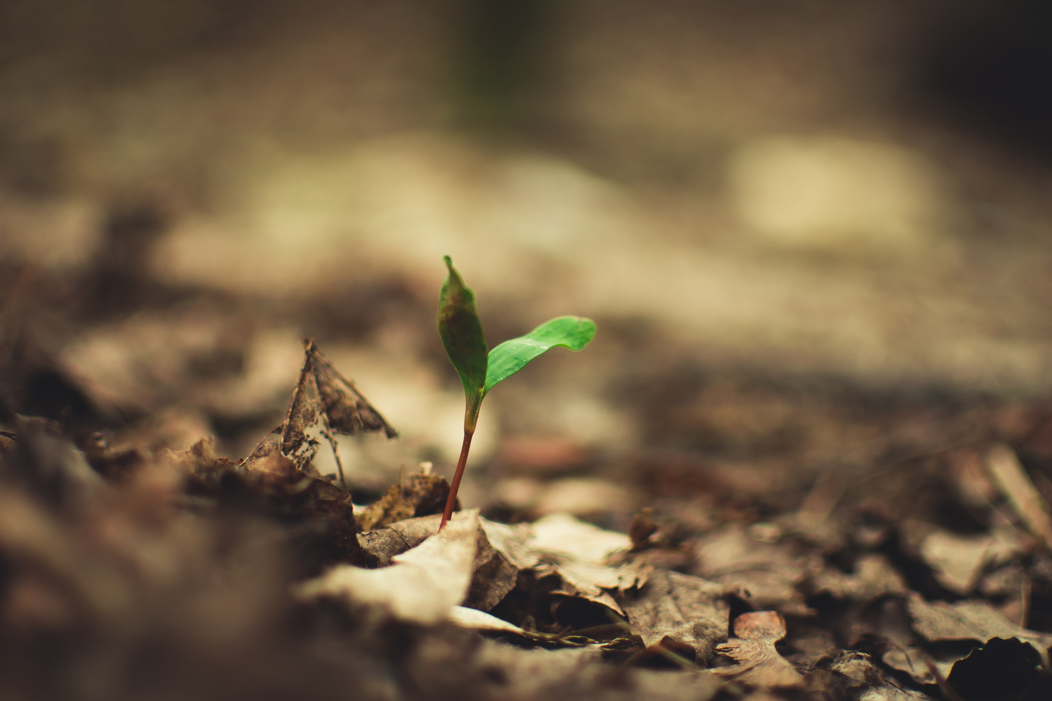 Andriyko podilnyk Lf9 H Ihx0 FPQ unsplash