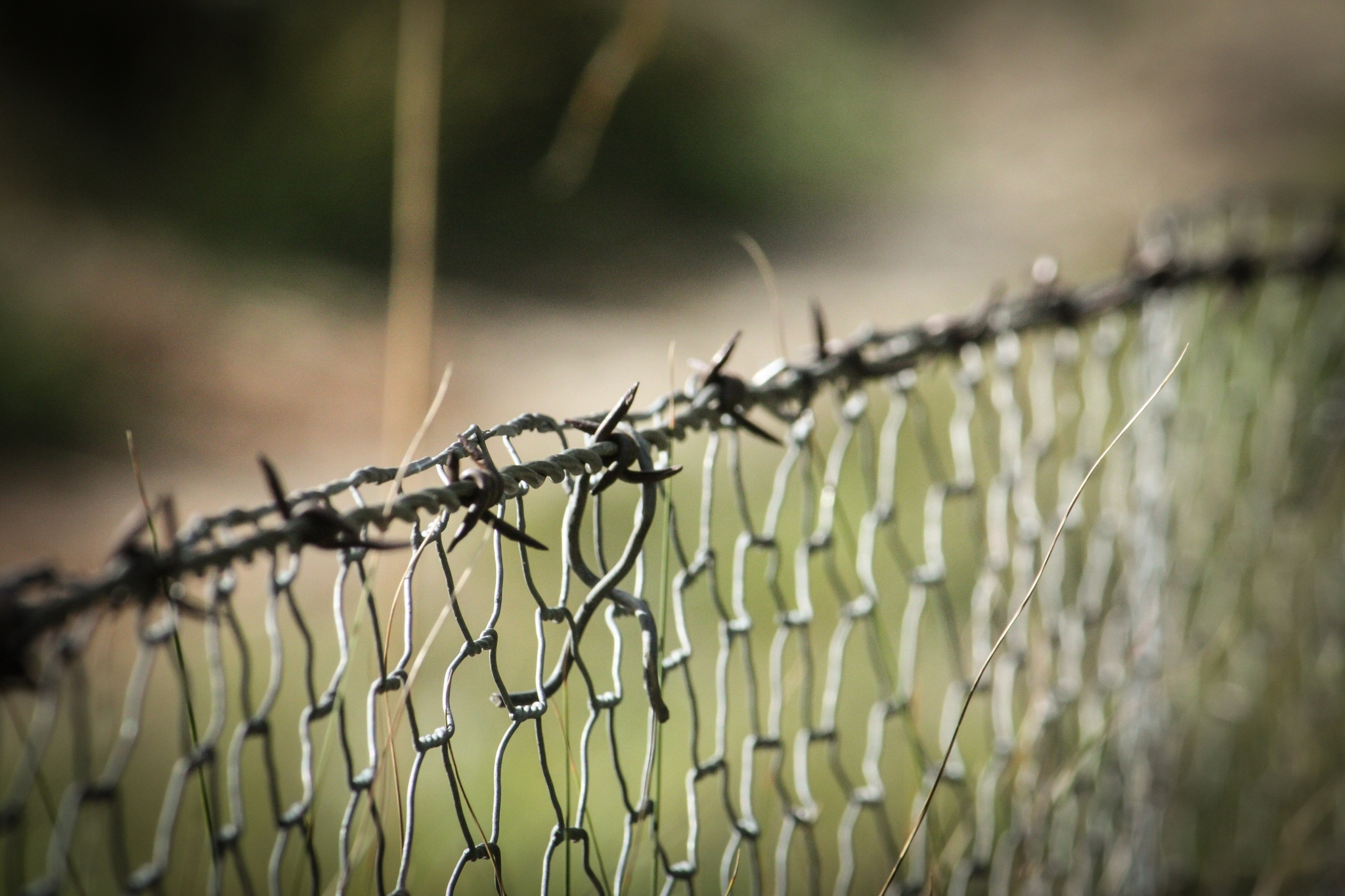 Barbed Wire Fence Wire Mesh 104592