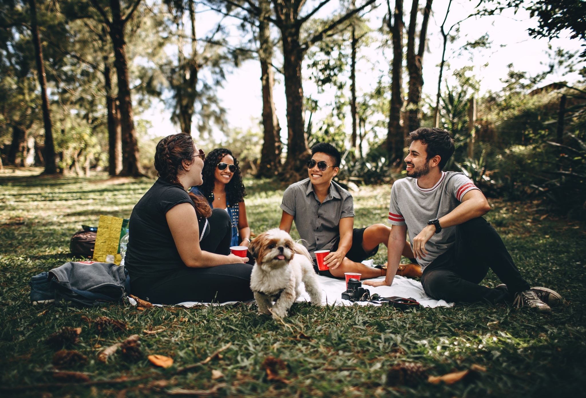 Chatting Cups Dog 745045