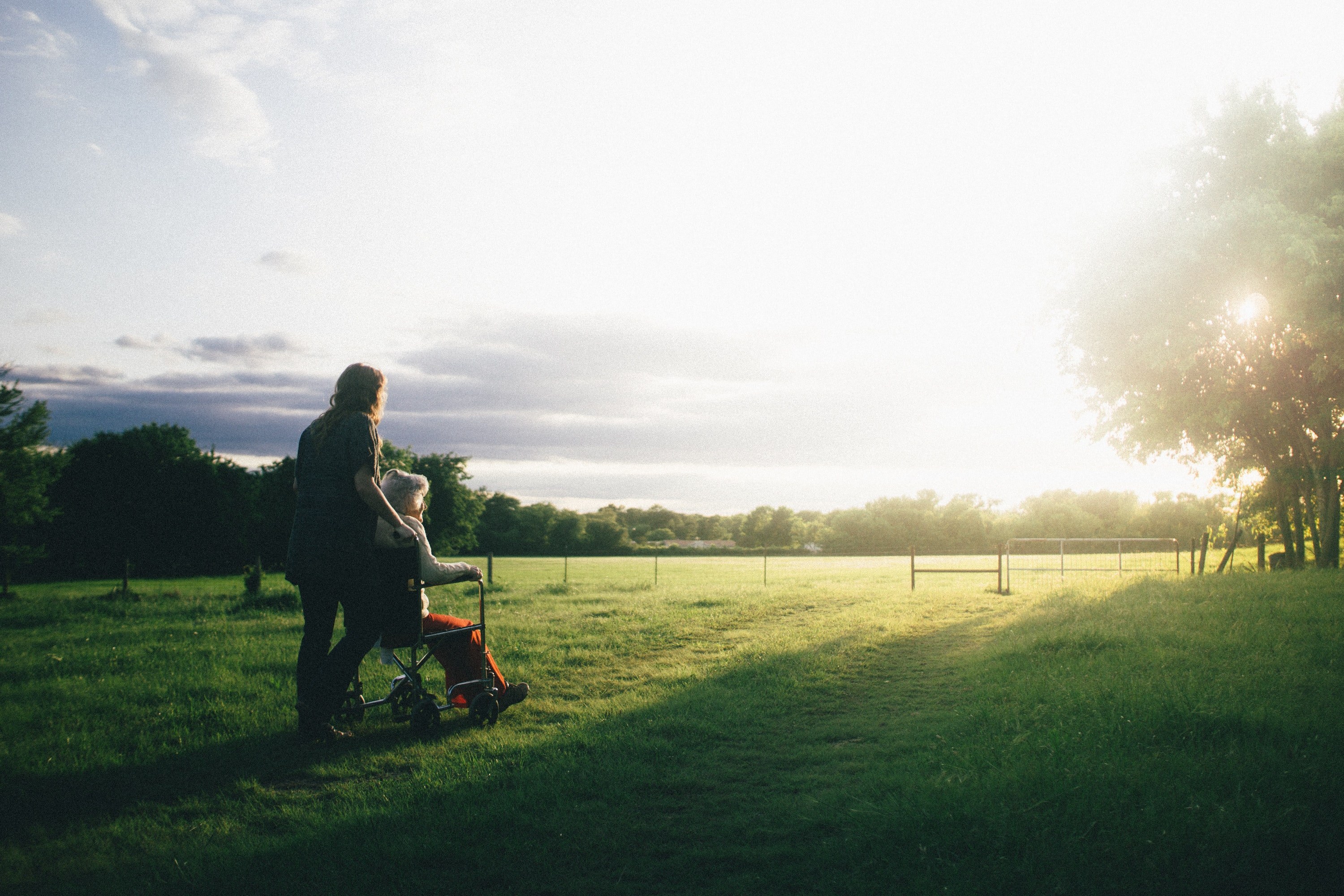 Charities Bill Article Unsplash