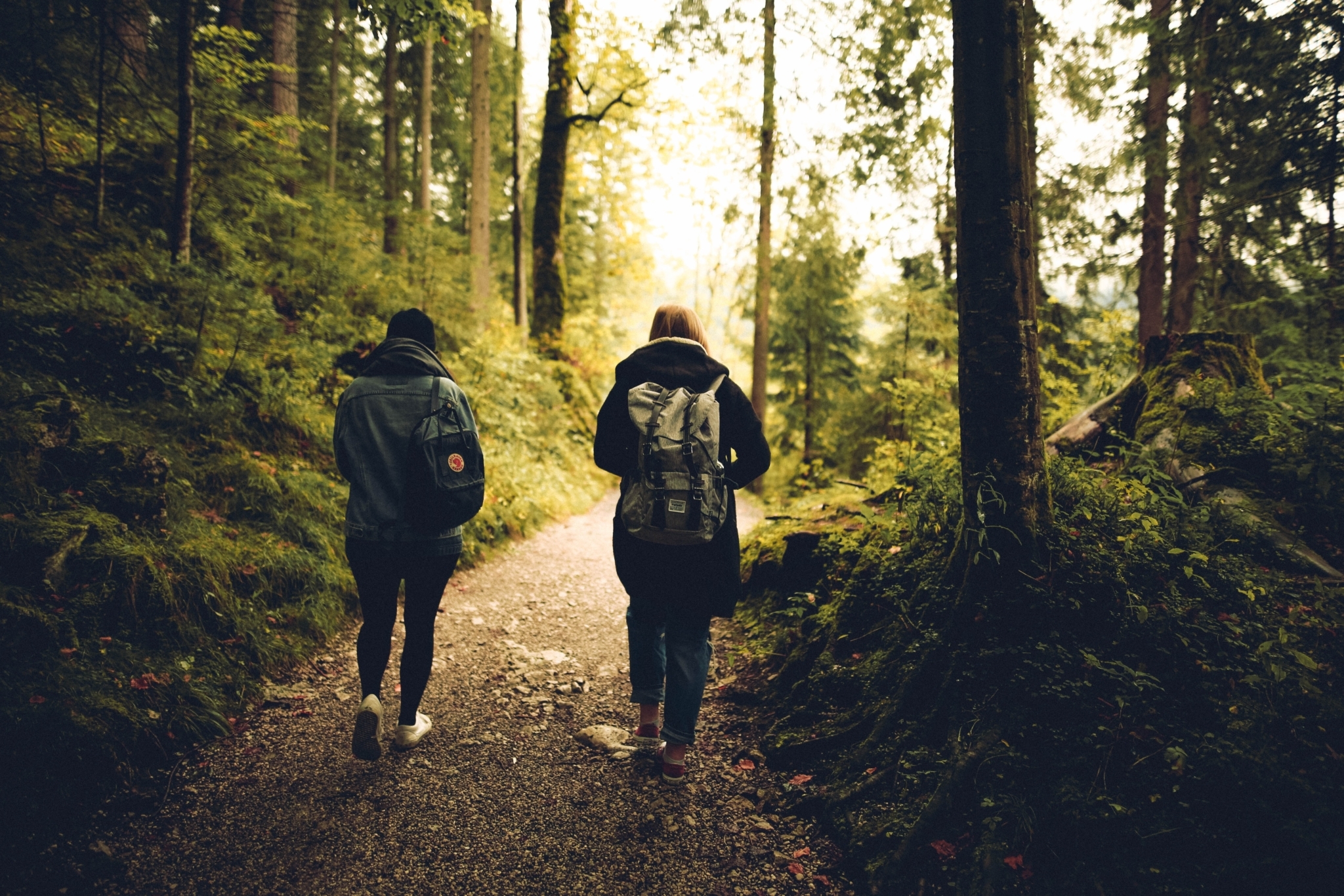 Forest Friends Friendship 591216