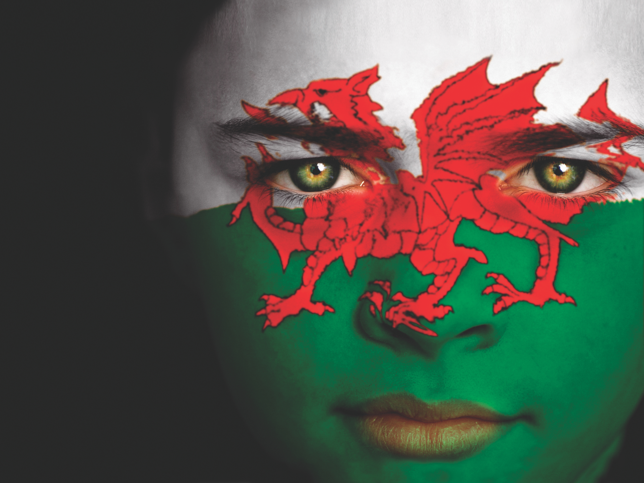 Welsh flag facepaint